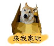 655529139