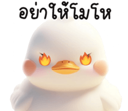 655530117