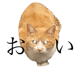 655534734