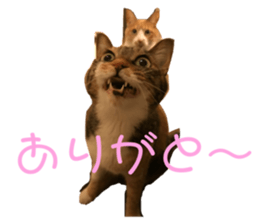 655534739
