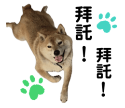 655536027