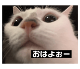 655540752