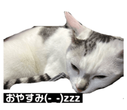 655540753