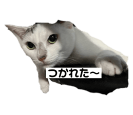 655540756