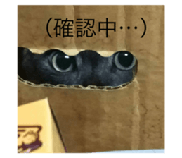 655543649