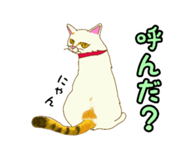 655554803