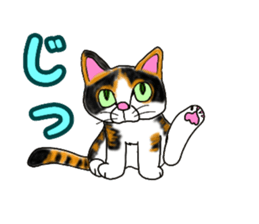 655554804