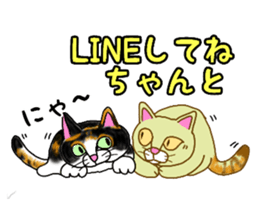 655554806