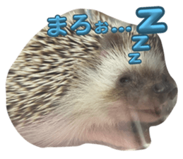 655555390