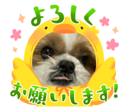 655555645