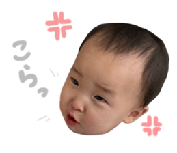 655556587