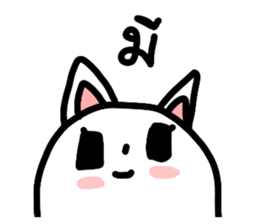 655567556