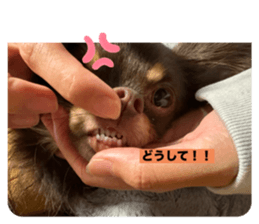 655578982