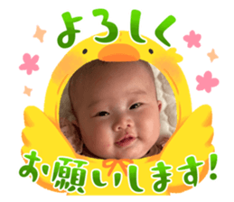 655579341