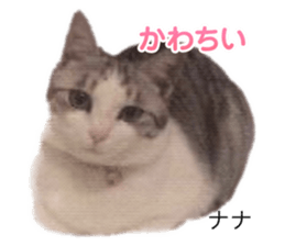 655579527