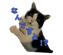 655579528