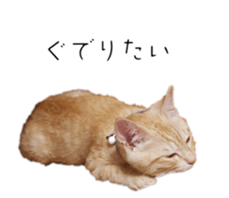 655580016