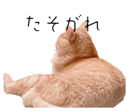 655580019