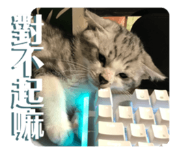 655581229