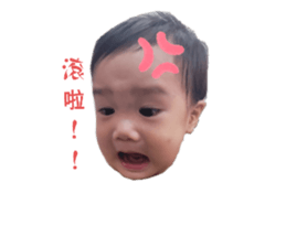 655581355