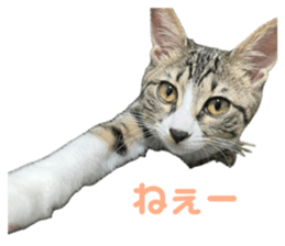 655603142