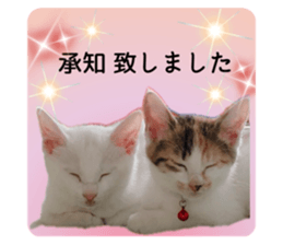 655608680