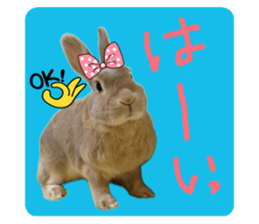 655608683