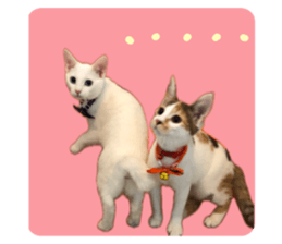 655608689