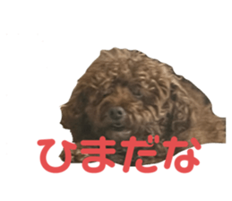 655609917