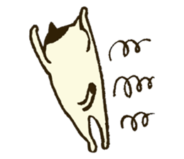 6556644
