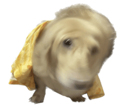 655667086