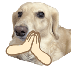 655667095