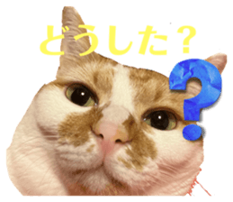 655667844