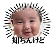 655668220
