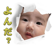 655668239