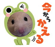 655674417