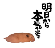 655674419