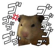 655674421