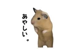 655674423