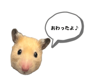 655674425