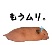 655674426
