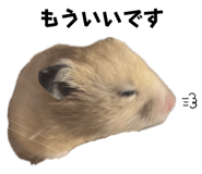 655674429