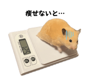 655674432