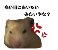 655674433