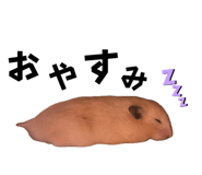 655674436