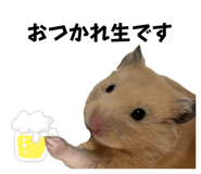 655674437