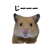 655674438
