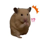 655674442