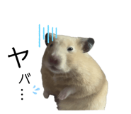 655674443
