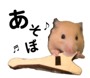 655674445